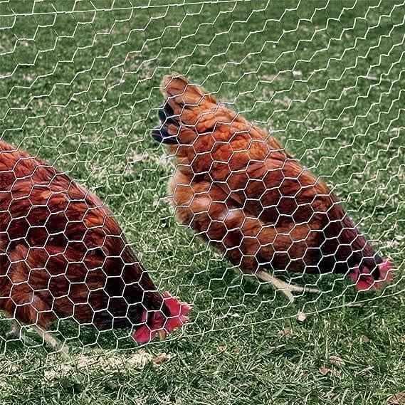 Galvanised Metal Chicken Wire Mesh Boundary Fencing