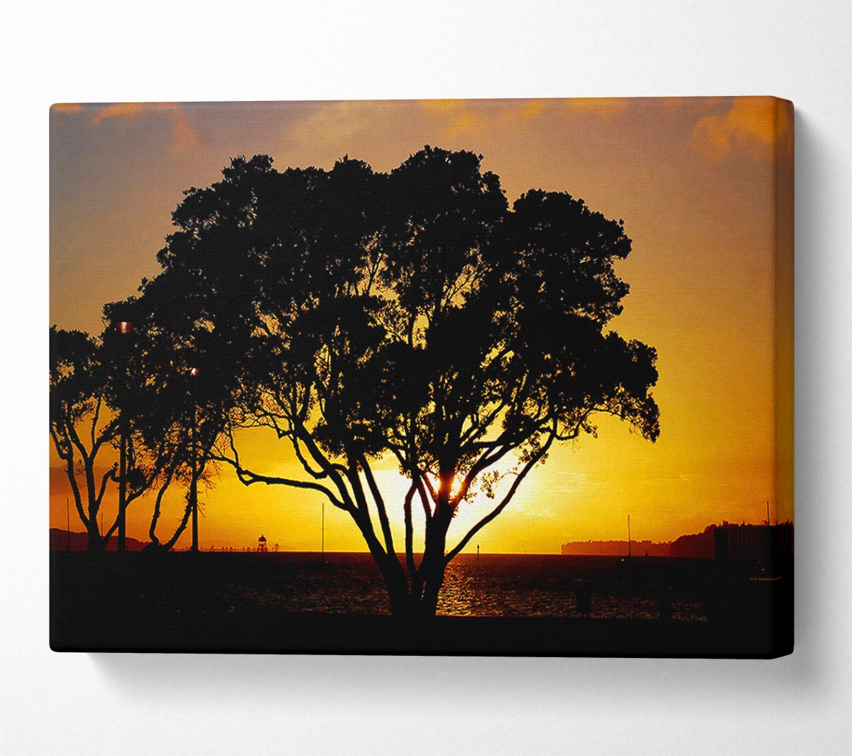 The Hidden Sun Canvas Wall Art - Zestio