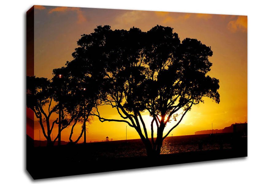 The Hidden Sun Canvas Wall Art - Zestio