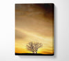 The Lonely Tree At Dusk Canvas Wall Art - Zestio
