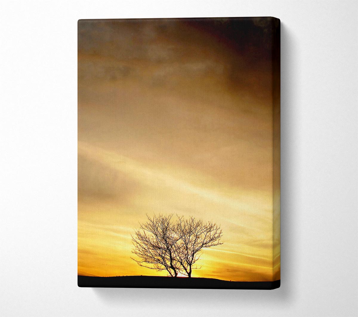 The Lonely Tree At Dusk Canvas Wall Art - Zestio