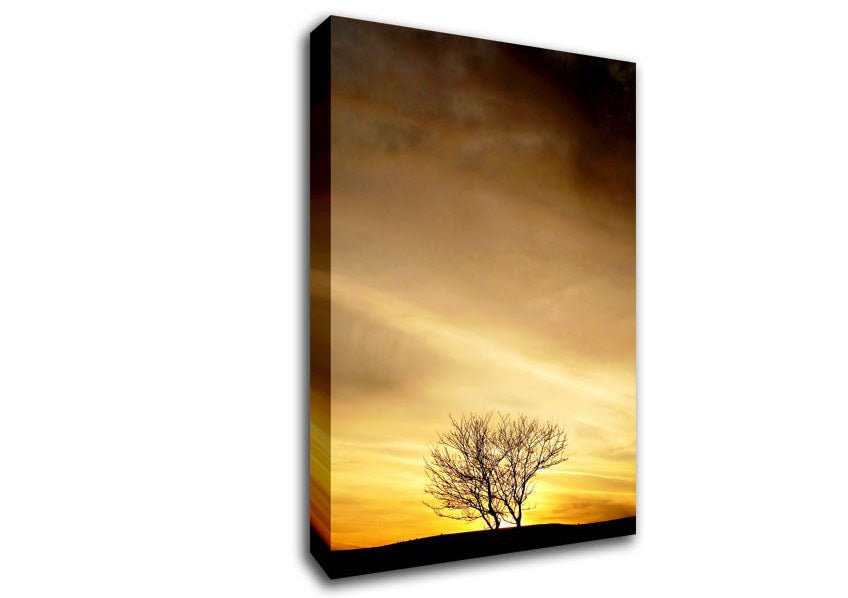 The Lonely Tree At Dusk Canvas Wall Art - Zestio