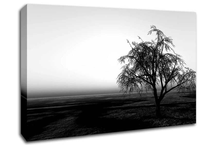 The Way The Wind Blows B n W Canvas Wall Art - Zestio