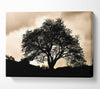 Tree In First Light Canvas Wall Art - Zestio