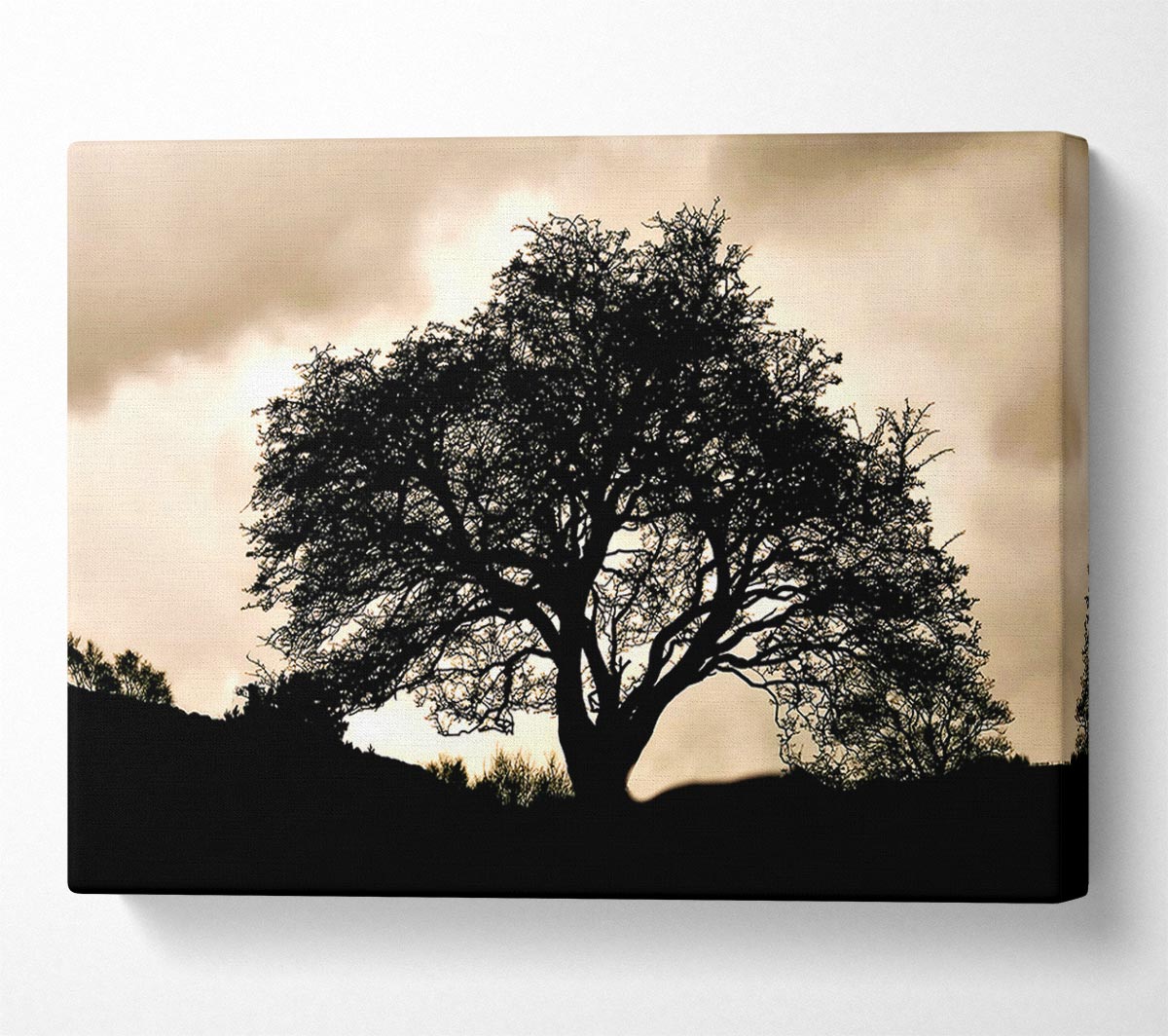 Tree In First Light Canvas Wall Art - Zestio