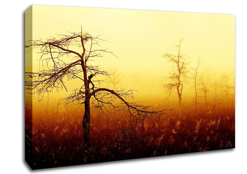 Treeline Mist Canvas Wall Art - Zestio