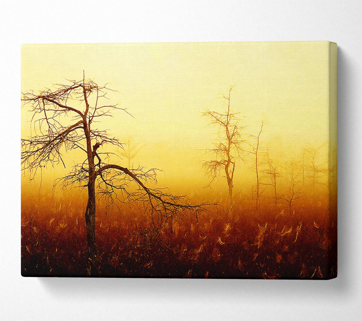 Treeline Mist Canvas Wall Art - Zestio