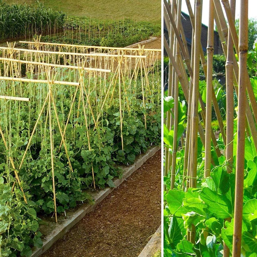 High-Quality 5FT Bamboo Canes - 20 Pack - Perfect for Garden Use - Eco-Friendly