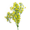 55cm Gypsophila Yellow Stem