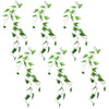 Realistic 6-Pack 100cm Philodendron Hanging Trailing Plant - Small Leaf Quality