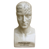 Large Ceramic Phrenology Head 42cm
