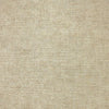 Premium Quality Luxury Plain Champagne - High-End Elegance & Taste