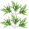 6 x 50cm Southern Wood Fern Bush Dark Green Plant