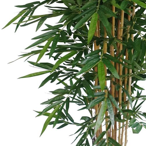 180cm Premium UV Resistant Bamboo