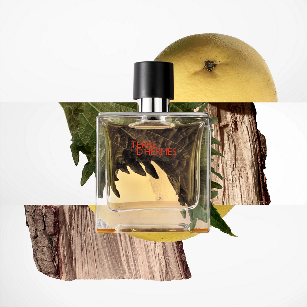 Hermes Terre D'hermes Eau De Toilette Spray 100ml