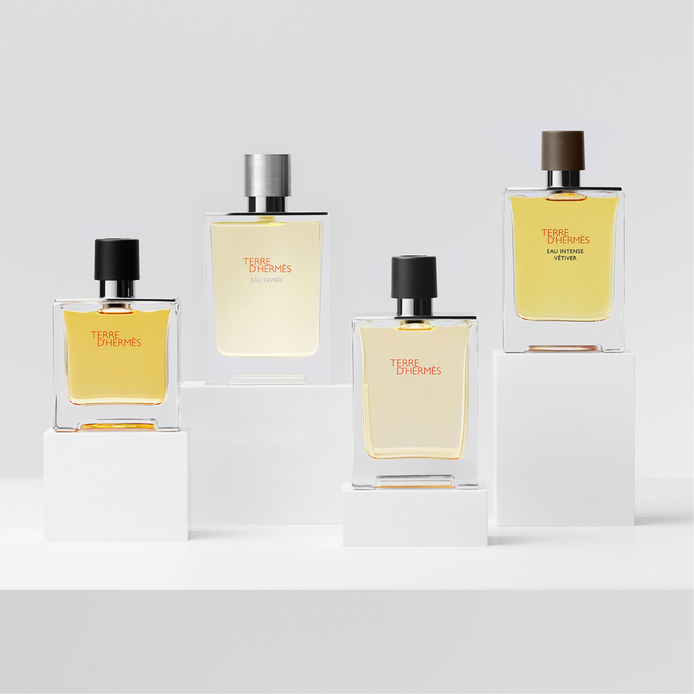 Hermes Terre D'hermes Eau De Toilette Spray 100ml