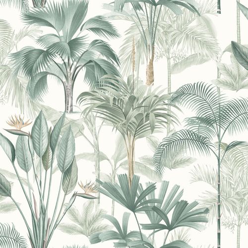King Palm Green sw12 wallpaper