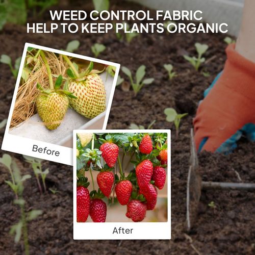 Outsunny 2m x 90m Weed Control Membrane, Heavy Duty Weed Barrier Fabric