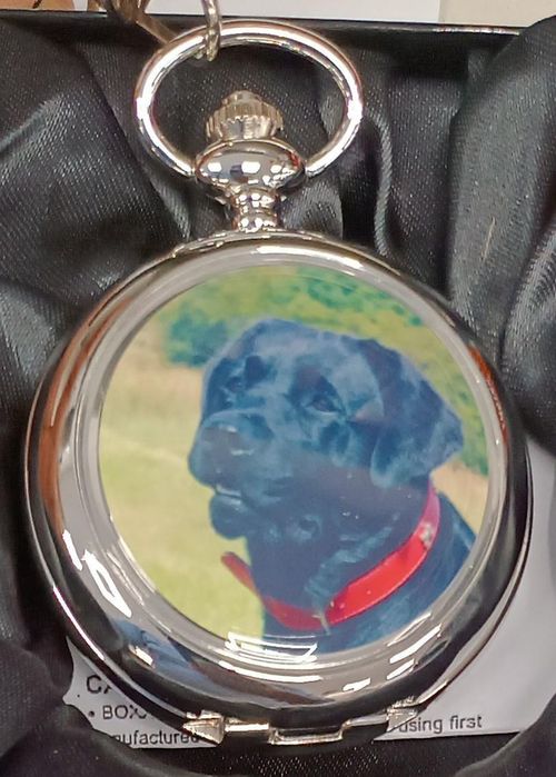 Boxx Picture Pocket watch Dog P5061.89