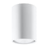 Raw Steel Lagos Ceiling Lamp - Modern Design - GU10