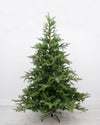Grandis Fir 6ft Artificial Christmas Tree