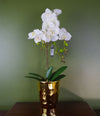 Premium 54cm White Orchid Plant - Realistic Artificial Flowers & Gold Pot