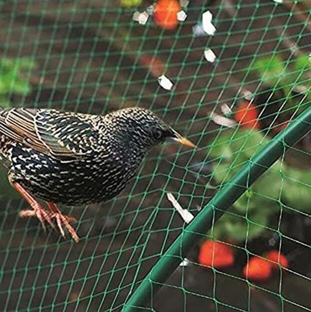 Bird Netting for Garden 2 PACK, 10x2M Ft. Heavy Duty. Protect Plants, Peas, Tomatoes
