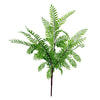55cm Himilayan Maidenhair Fern Bush Light Green Plant