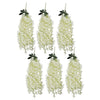 Pack of 6 x 80cm Hanging Wisteria Flowers in Cream