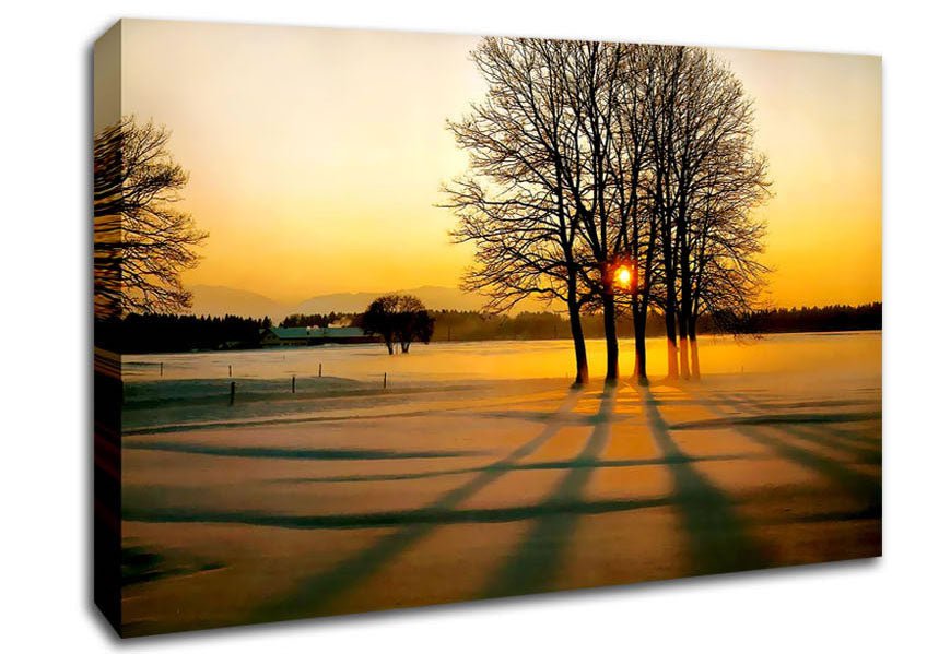 Winter Tree Sunrise Golden Canvas Wall Art - Zestio