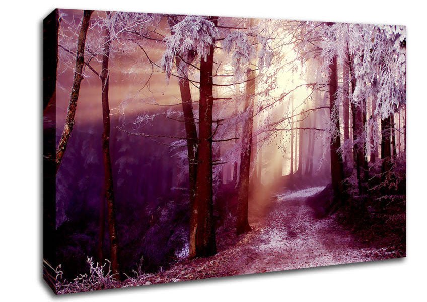 Winter Woodland Sunbeam Canvas Wall Art - Zestio