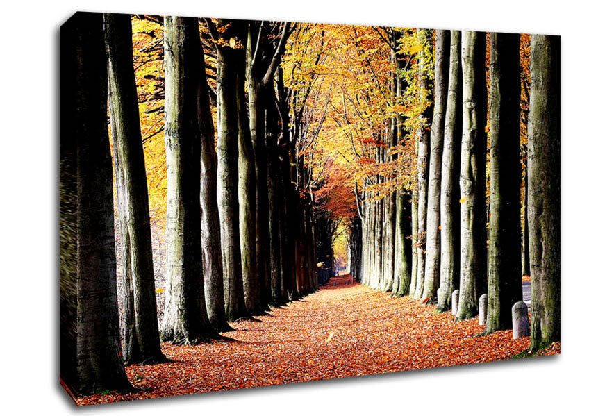 Woodland Walk Canvas Wall Art - Zestio