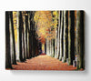 Woodland Walk Canvas Wall Art - Zestio