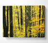 Yellow Woodland Canvas Wall Art - Zestio