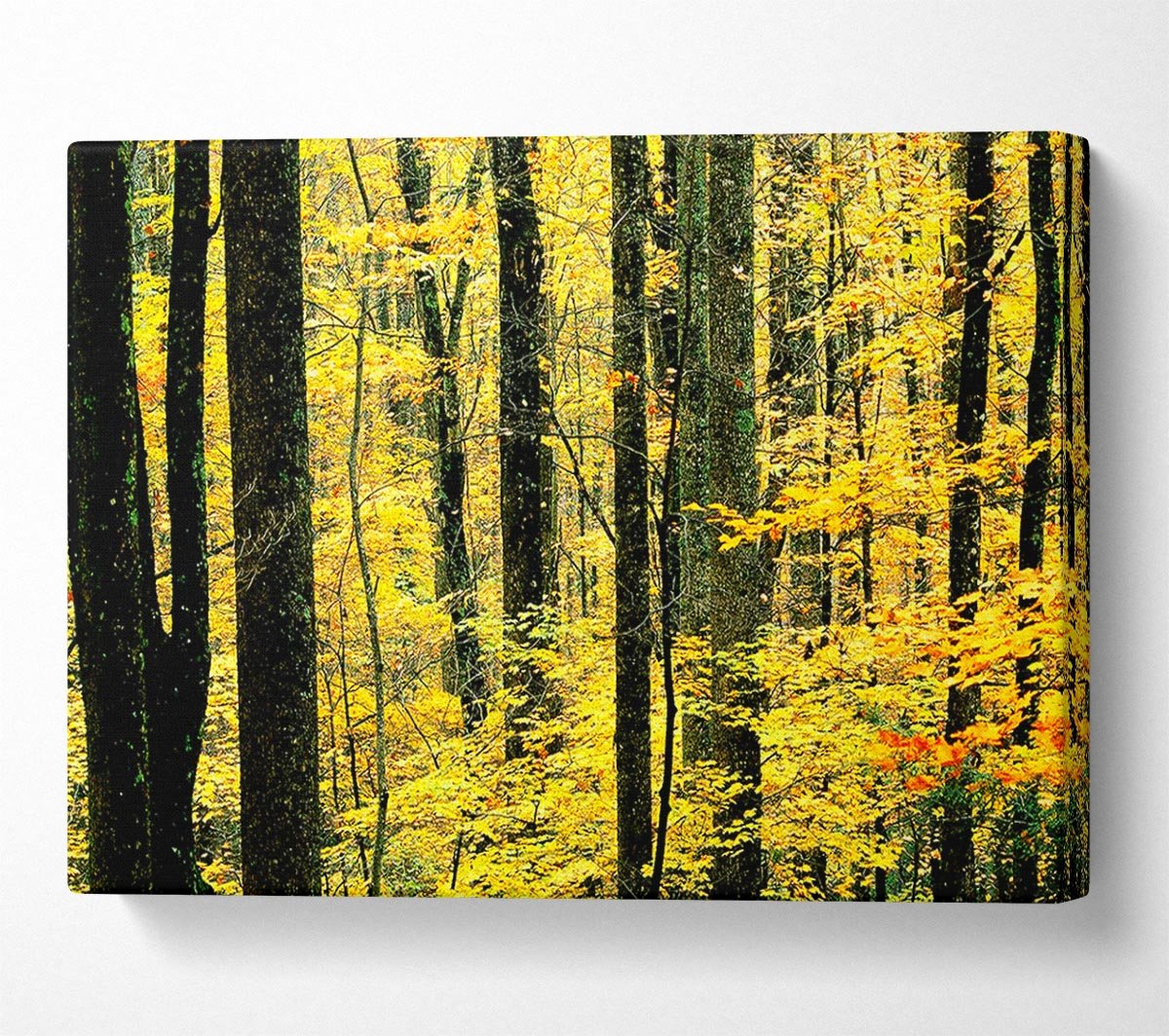 Yellow Woodland Canvas Wall Art - Zestio