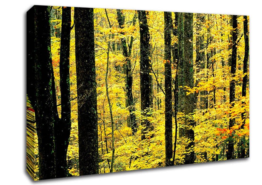 Yellow Woodland Canvas Wall Art - Zestio
