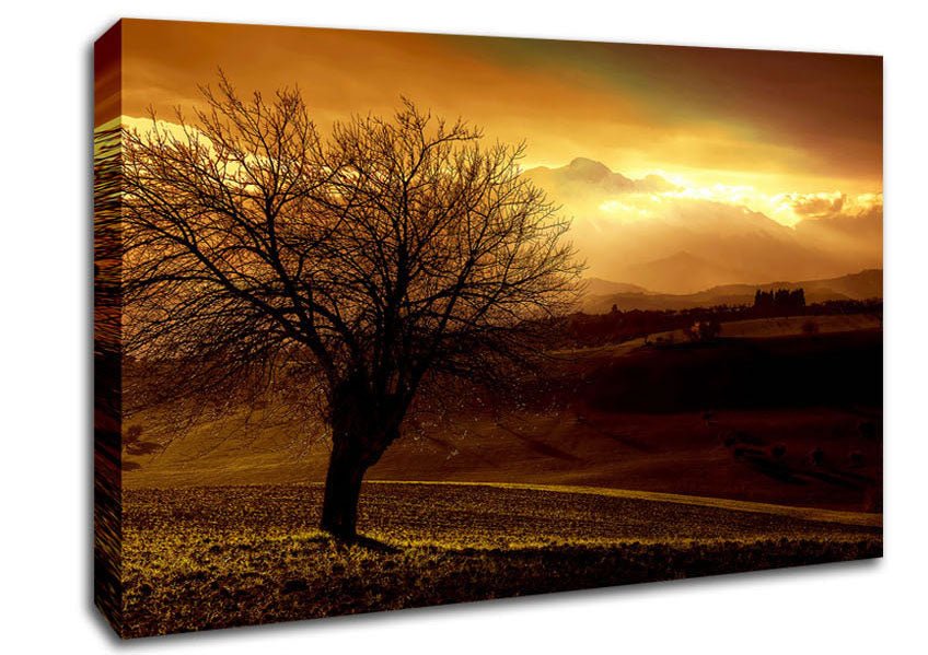 Yorkshire Dales After The Storm Canvas Wall Art - Zestio