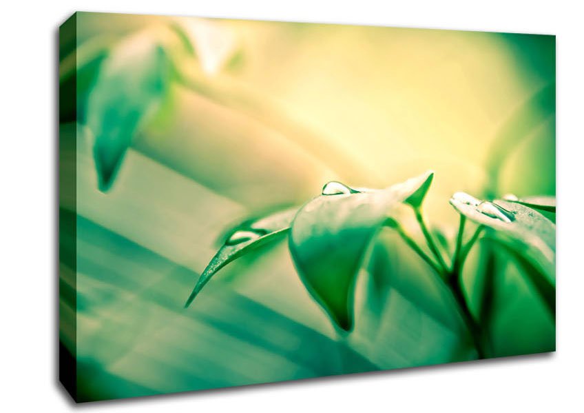 You Are Beautiful Canvas Wall Art - Zestio