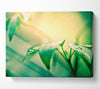 You Are Beautiful Canvas Wall Art - Zestio